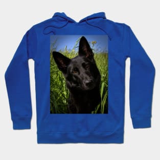 Black german shepherd Hoodie